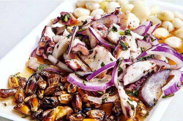 Ceviche de Pulpo features moroccan octopus, cuzco corn, chulpes, red onion, aji amarillo and leche de tigre.