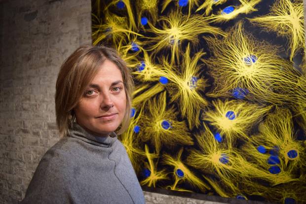 Radha Chaddah, the artist that put together the stem-cell exhibition, says she is often surprised by the sense of connection her images seem to evoke, even when viewers are unsure what they are looking at.