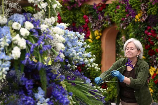 An exhibitor prepares a display at the RHS Chelsea Flower Show in London, Britain May 21, 2017.