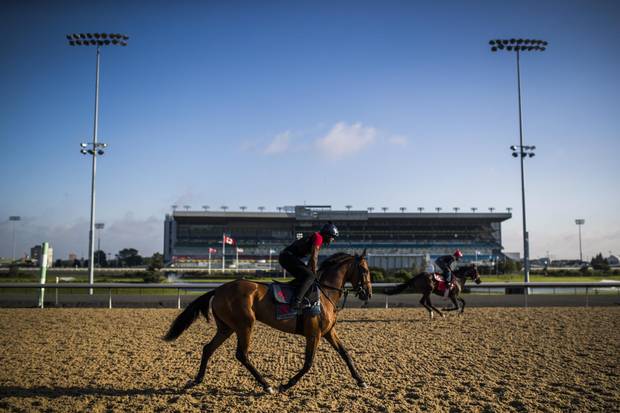 Jockeys work out their horses at Toronto’s Woodbine horse track in Toronto, Friday August 18, 2017.