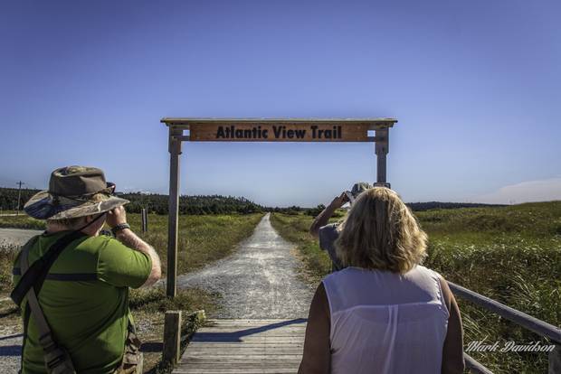 A group gets ready for a 10-kilometre hike of the Atlantic View Trail at Lawrencetown Beach on Sept. 4, 2016. “This trail spoke to us on this warm September day as it offered rural seaside vistas, stretching beside small communities, and along coastal inlets ... all the while surrounded by the smell of the fresh salt air coming ashore from the Atlantic Ocean,” photographer Mark Davidson writes.