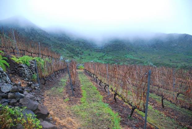 Vineyards such as Bodegas Viñátigo play up the Canary Islands’ unique climate and varietals.