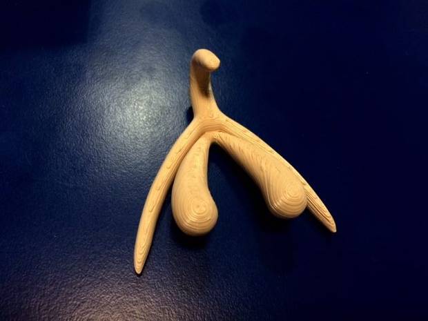 Biomedical science and gender studies researcher Odile Fillod printed the world's first 3-D model of the clitoris.