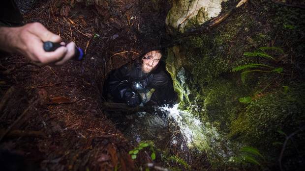 Mark Worthing of the Sierra Club of B.C. in a little sinkhole with exposed limestone in Walbran Valley on Vancouver Island.