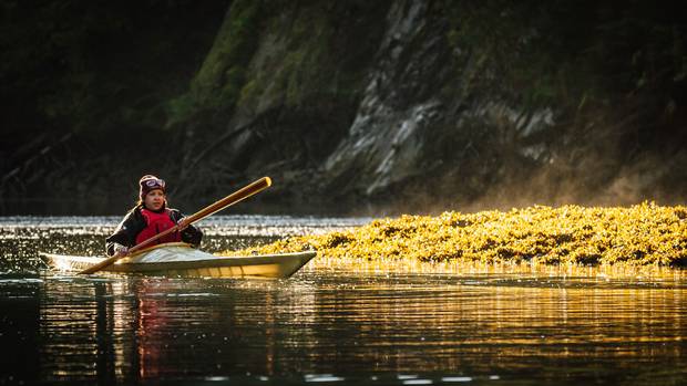 Time for some quiet reflection: Cyndi Peal takes an afternoon kayak ride through the still waters around Hlk’yah GawGa (Windy Bay) in Haida Gwaii.