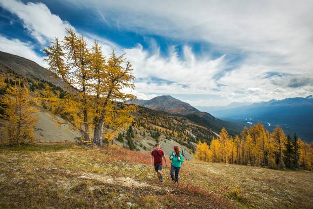 The Larch Valley Trail is a steep 4.3-kilometre trek in Banff National Park.