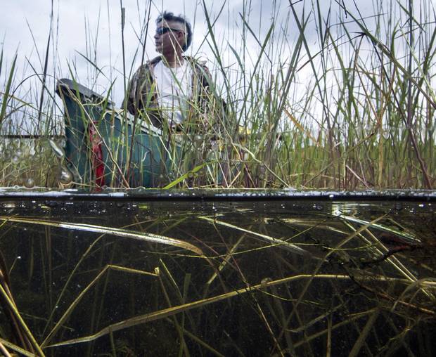 James Whetung collects wild rice on Upper Chemong Lake at Curve Lake First Nation, Ont.