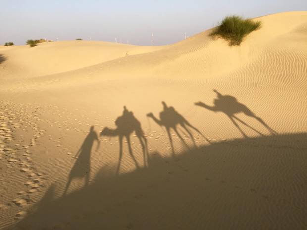 Caravan shadows in the Thar desert.