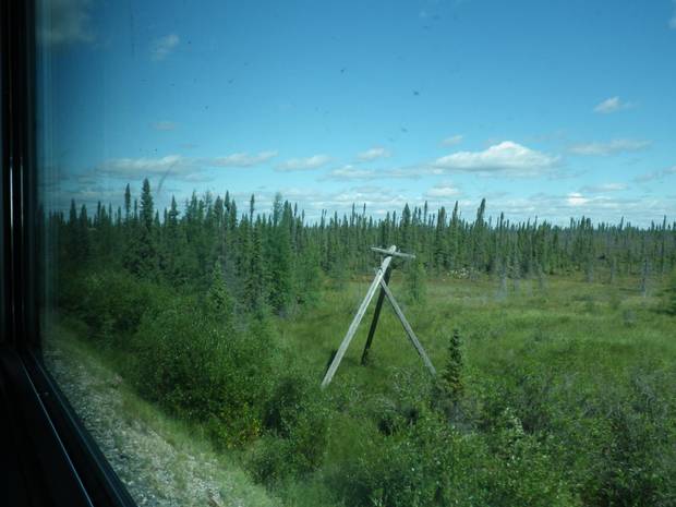 Old hydro poles slowly sink into the muskeg along the tracks in northern Manitoba.