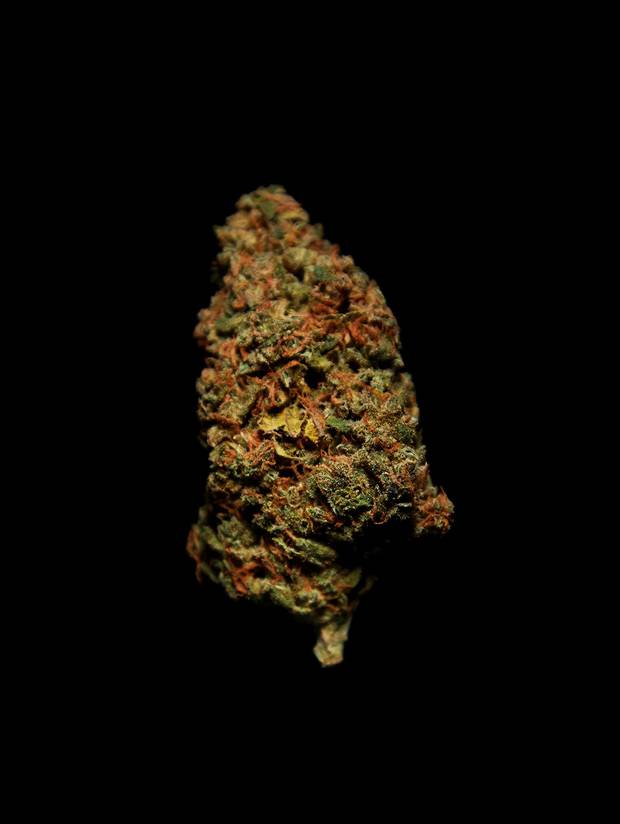 Super Lemon OG (DNA certified). Strain: indica-dominant hybrid. Appearance: rich green flowers, apricot hairs. Aroma: citrus fruit, lemony, sweet finish. Experience: balanced after-dinner buzz