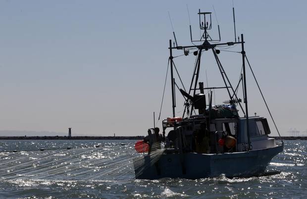 A commercial fishing boat fishes for sockeye salmon at the mouth of the Fraser River in Richmond, B.C., in August, 2010.