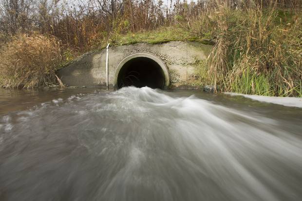 Treated sewage flows into the Grand River from the Hespeler Water Treatment in Waterloo, Ontario on Saturday, November 7, 2015. Two years ago, Kitchener-Waterloo completed a $700-million upgrade of its sewage treatment plants and researcher has subsequently identified improvement in the Grand River habitat.