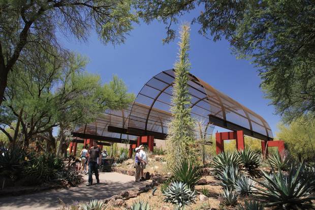 The Desert Botanical Garden Succulent Gallery.