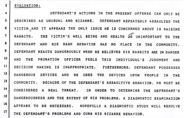 A probation officer’s report in 1998 from the Superior Court of California, County of Los Angeles, notes Mr. Brylla’s ‘unusual and bizarre’ behaviour.
