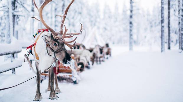 Rovaniemi, a serene town in northern Finland, is home to roughly 60,000 people, varied saunas, reindeer farms and Santa Claus himself.