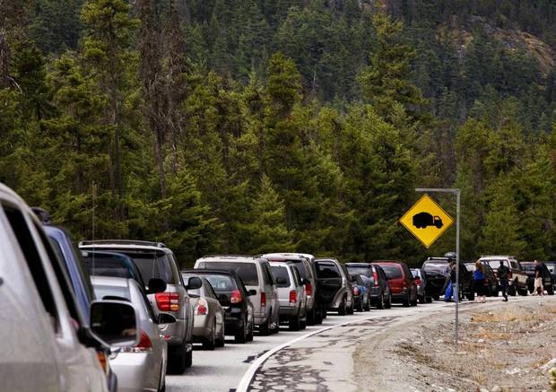 People turned off their engines and got out of their cars as traffic was backed up ten kilometers out of Pemberton en route to the Pemberton Music Festival on July 27, 2008.