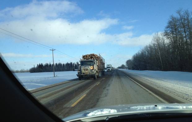 Spruce trees (left) and aspen (right) are shown along the highway to Fort McMurray in wintertime.