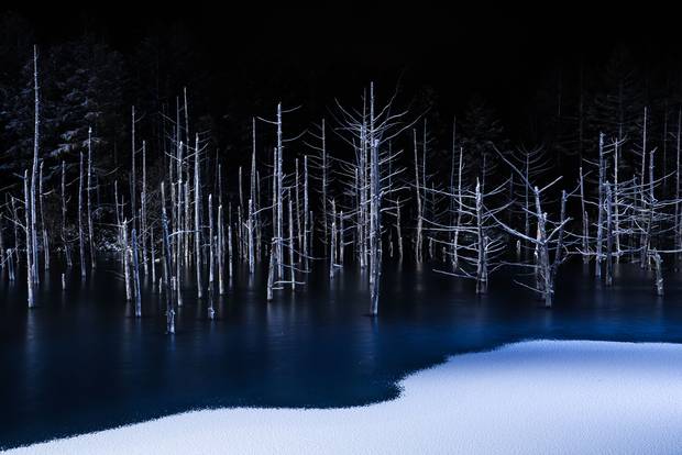 Japanese photographer, Hiroshi Tanita, wins 1st place Nature for a photo of ice forming on a pond in early winter.
