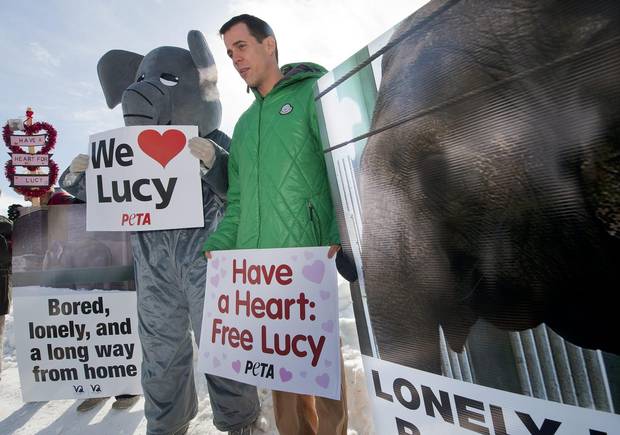 Animal-rights activists called for the release of Lucy at a rally outside the Edmonton Valley Zoo in 2011.