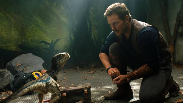 Chris Pratt with a baby Velociraptor in Jurassic World: Fallen Kingdom.