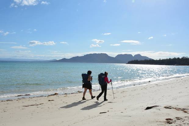 Famed for its ancient forests, pink granite Hazard Mountains, stunning beaches, and plentiful wildlife, the Freycinet Experience Walk along Tasmania’s bewitching east coast is one of the 10 Great Walks of Australia.