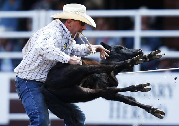 Blair Burk from Durant, Oklahoma flips a calve in the tie-down roping event during the Calgary Stampede rodeo in Calgary, Alberta, July 5, 2015. 