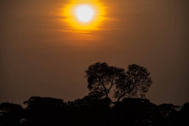 The sun sets in the Pantanal, in Caceres, Brazil, on August 26, 2014.