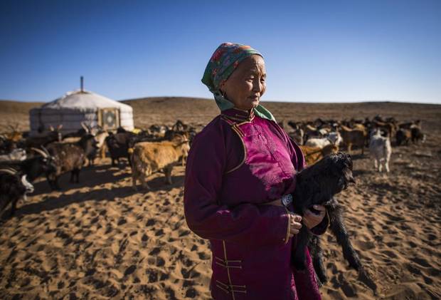 Dusmaa, 64, lives just outside Adaatsag lost more than 100 livestock this past winter. The family bought additional hay and feed, and did what it could to save animal lives. But winter punished humans animals alike.