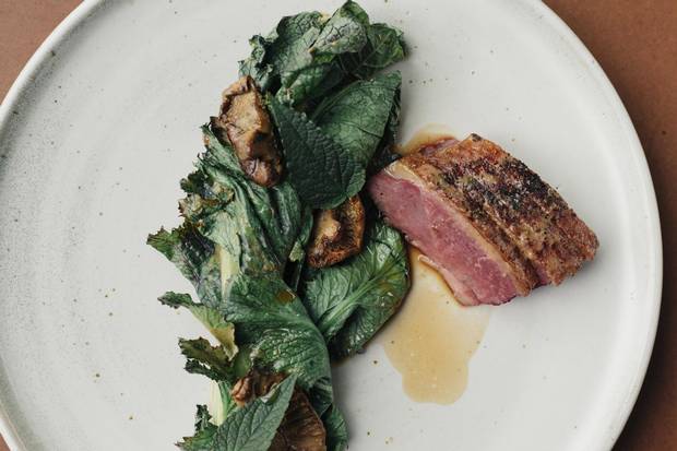 Roasted muscovy duck, glazed in persimmon and prickly ash, with grilled mustard greens and lepista irina mushrooms.