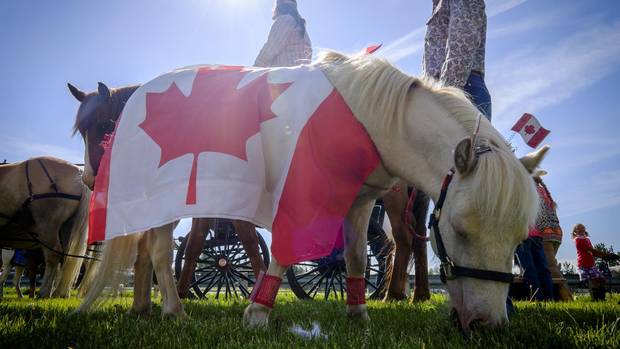 A flag-draped pony grazes before the start of a parade during Canada Day celebrations in Cremona, Alta., Saturday, July 1, 2017.