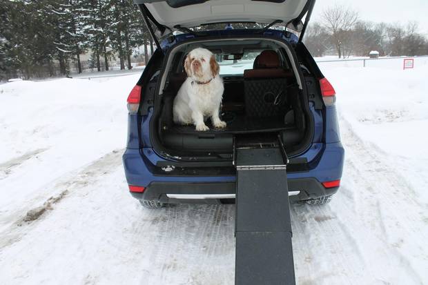 Nissan Rogue Dogue, with Elvis the Clumber Spaniel at the Cobourg dog park. All photos by . IMG_0844.JPG