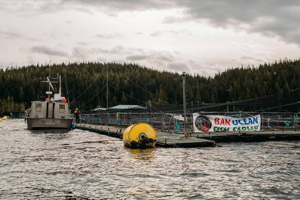 A protest banner hangs on a fish farm on Midsummer Island, B.C. Two scientists are clashing over a viral disease they both detected in farmed salmon and how the Animal Health Centre work with the aquaculture industry has influenced how that disease was reported by the lab.