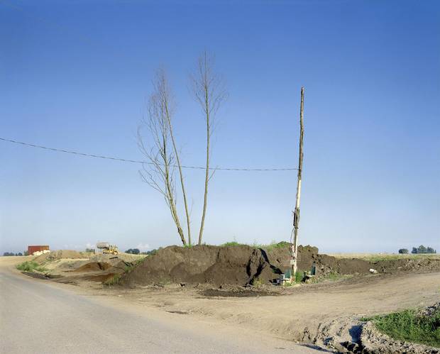 Roy Arden’s Landfill, Richmond, B.C., 1991, depicts bare tree trunks reaching up to a blue sky from a sandy pile of waste.