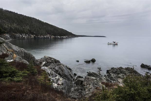 A boat idles in Fogarty’s Cove on the Nova Scotia coast.