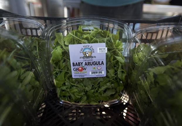 Boxes of freshly harvested baby arugula sits waiting in the wash/ cleaning shed at The New Farm, to be shipped to southern Ontario stores