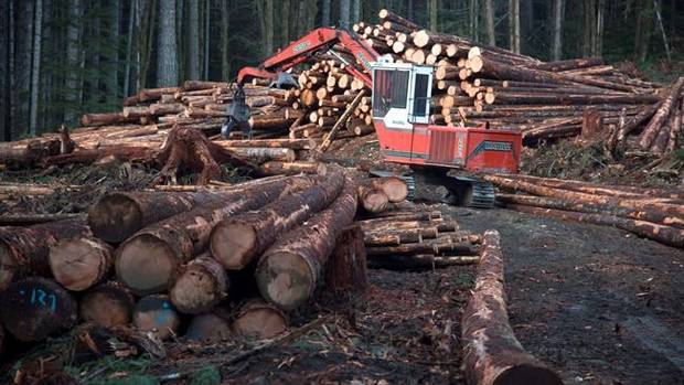 A section of forest is harvested by loggers near Youbou, B.C.