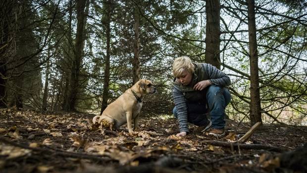 Brooke Fochuck, a Vancouver-based truffle hunter, and her dog forage for truffles.