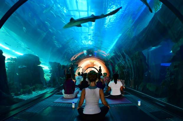 Travellers can explore the Dubai Mall’s aquarium.