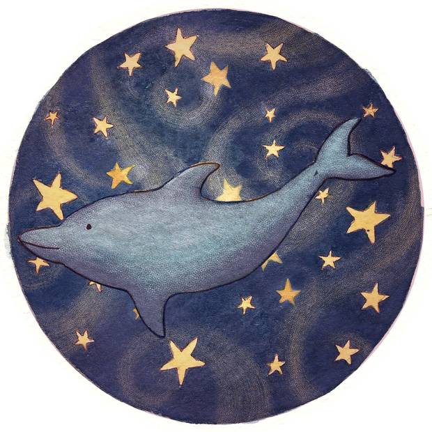 Dipper is an invisible flying dolphin who lives on a star, never sleeps and can fly very fast.