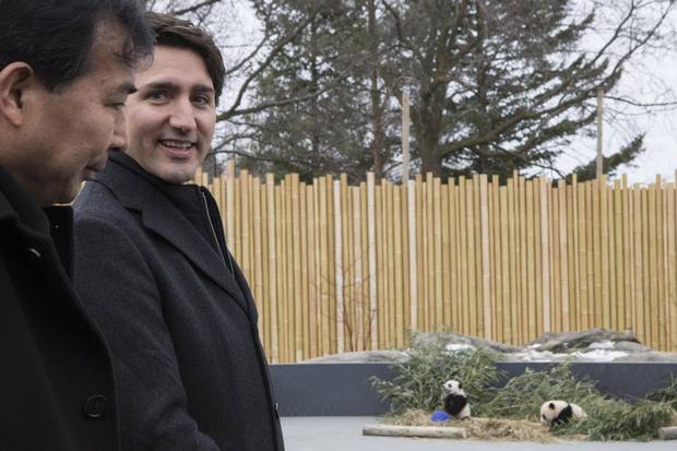 Mr. Trudeau and China's ambassador to Canada, Luo Zhaohui, stand outside the panda enclosure.