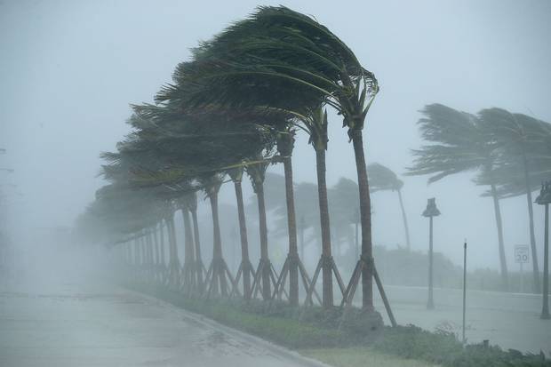 Fort Lauderdale, Fla., Sept. 10: Trees bend in the tropical storm wind along North Fort Lauderdale Beach Boulevard after Hurricane Irma hit the southern part of the state.