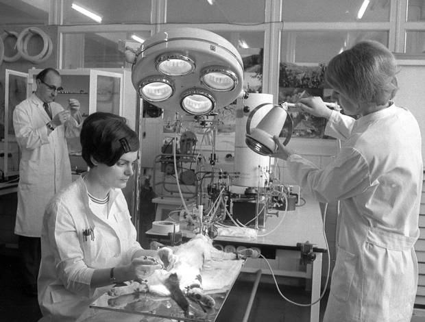 From April 1969, the lab of pharmaceutical company Gruenenthal, in Stolberg, West Germany. They were the makers of thalidomide, which caused thousands of babies to be born with shortened arms and legs or no limbs at all in the 1960's.