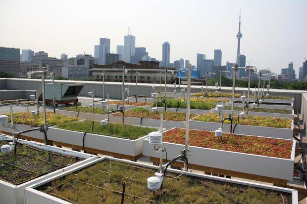 The Green Roof Innovation Testing Laboratory features several different garden beds.