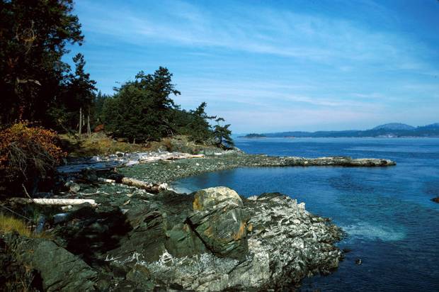 Ruckle Provincial Park sits majestically in splendid isolation at the southeast corner of Salt Spring Island.