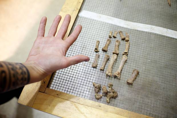 A bioarcheologist working on the project holds her hand alongside the bones from the military man’s right hand.