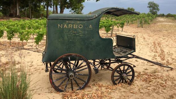 The grounds of the Narbona Wine Lodge are full of nifty artifacts.
