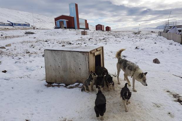 Sled dogs and church, Qaanaaq, Greenland.
