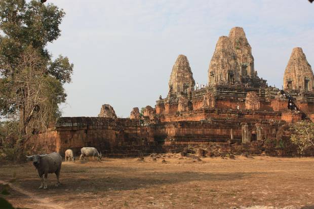 Roluos is a Cambodian modern small town and an archeological site about 13 km east of Siem Reap. Less frequented by tourists, its temples date back more than a thousand years, older than the Angkor Wat archaeological area.