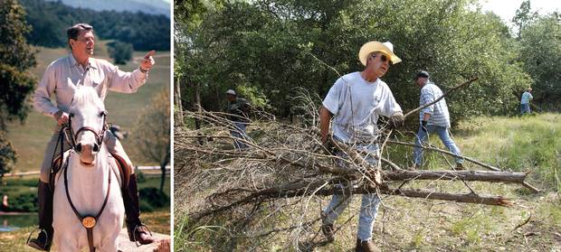 March 19, 1985: Ronald Reagan rides a horse at Rancho del Cielo, ‘Ranch in the Sky,’ northwest of Santa Barbara, Calif. Aug. 9, 2002: George W. Bush clears cedar at his 650-hectare (1,600 acre) ranch in sun-baked Crawford, Texas.