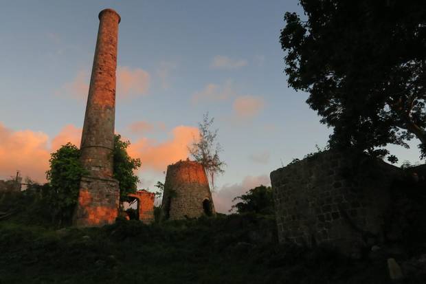 An abandoned sugar factory in Nevis often serves as a playground for the island’s wildlife.